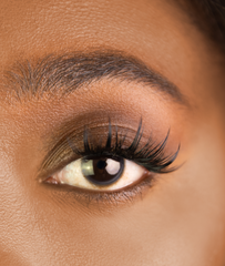 Pack recharge flash - 3 modèles au choix + colle & shampoo offerts