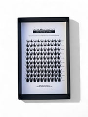 Pack recharge flash - 3 modèles au choix + colle & shampoo offerts